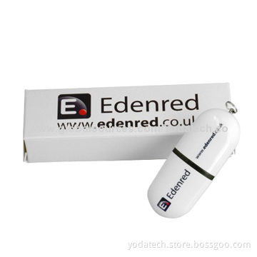 Paper Box USB Packaging